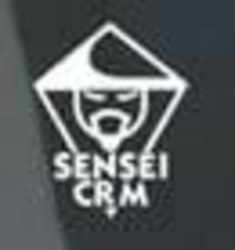 SENSEI CRM Logo (USPTO, 04/26/2019)