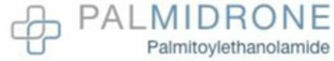 PALMIDRONE PALMITOYLETHANOLAMIDE Logo (USPTO, 29.07.2019)