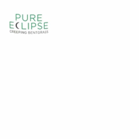 PURE ECLIPSE CREEPING BENTGRASS Logo (USPTO, 07/31/2020)