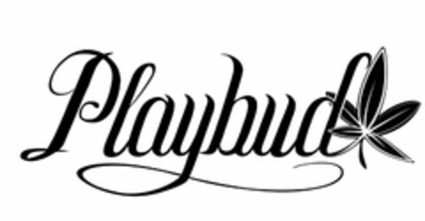 PLAYBUD Logo (USPTO, 09.08.2012)