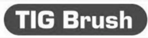TIG BRUSH Logo (USPTO, 20.04.2017)