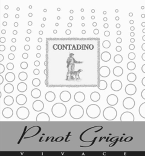 CONTADINO PINOT GRIGIO VIVACE Logo (USPTO, 07/31/2017)