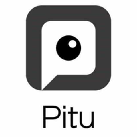 PITU Logo (USPTO, 11.04.2018)