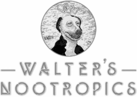 WALTER WALTER'S NOOTROPICS Logo (USPTO, 14.08.2018)