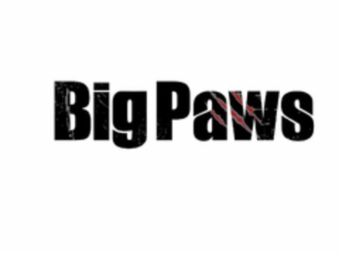 BIG PAWS Logo (USPTO, 21.01.2020)