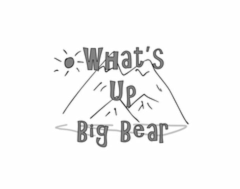 WHAT'S UP BIG BEAR Logo (USPTO, 10.06.2020)