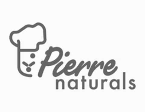 PIERRE NATURALS Logo (USPTO, 06/23/2015)