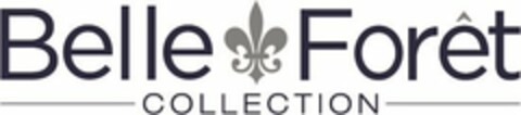 BELLE FORÊT COLLECTION Logo (USPTO, 18.02.2016)