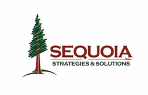 SEQUOIA STRATEGIES & SOLUTIONS Logo (USPTO, 27.11.2019)