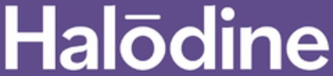 HALODINE Logo (USPTO, 17.08.2020)