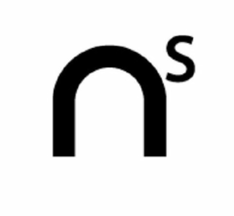 NS Logo (USPTO, 06.08.2010)