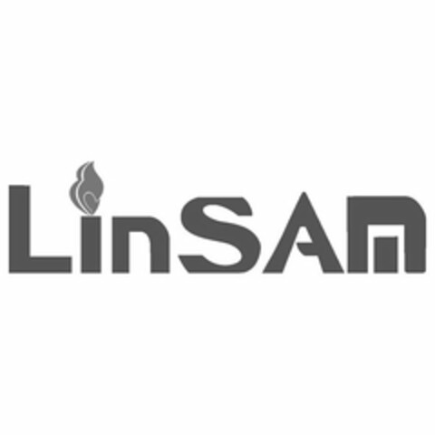 LINSAM Logo (USPTO, 10.03.2015)