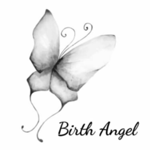 BIRTH ANGEL Logo (USPTO, 13.06.2016)