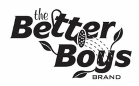 THE BETTER BOYS BRAND Logo (USPTO, 01/31/2019)