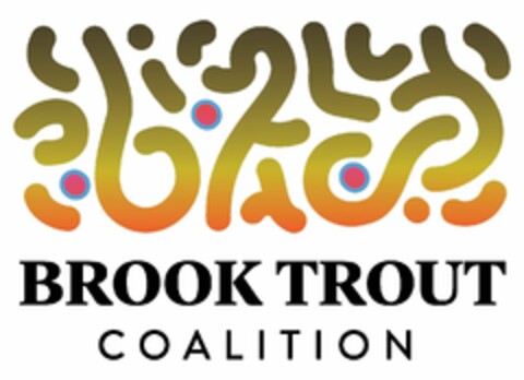 BROOK TROUT COALITION Logo (USPTO, 03.07.2019)