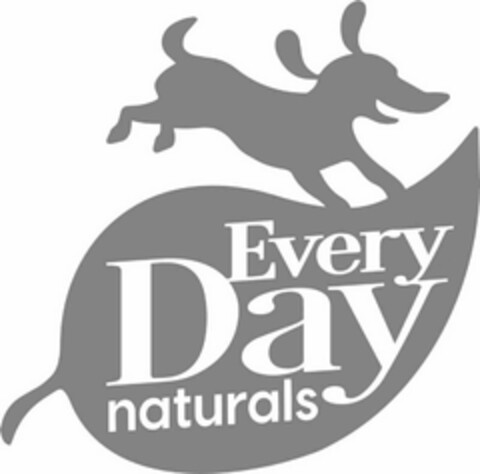 EVERY DAY NATURALS Logo (USPTO, 24.04.2020)