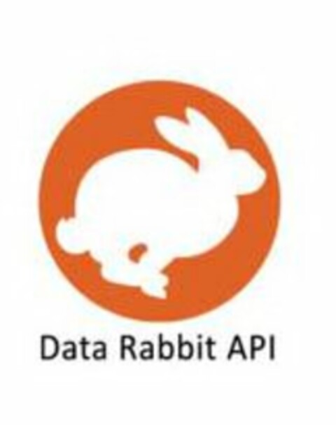 DATA RABBIT API Logo (USPTO, 05/18/2020)