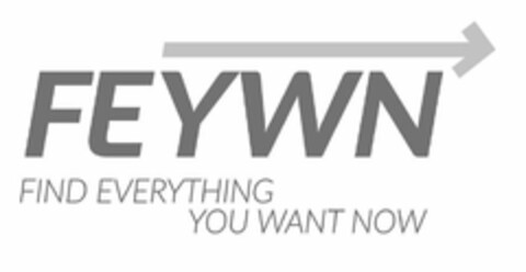 FEYWN FIND EVERYTHING YOU WANT NOW Logo (USPTO, 07/06/2020)