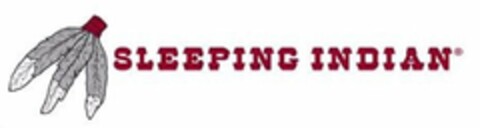 SLEEPING INDIAN Logo (USPTO, 15.01.2016)