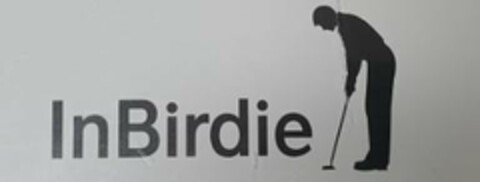 INBIRDIE Logo (USPTO, 08.07.2020)