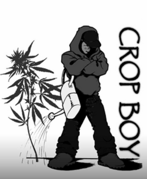 CROP BOY Logo (USPTO, 15.09.2020)