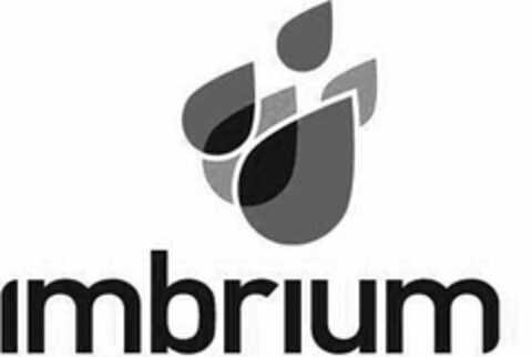 IMBRIUM Logo (USPTO, 30.06.2011)