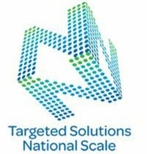 NNN TARGETED SOLUTIONS NATIONAL SCALE Logo (USPTO, 11/21/2013)