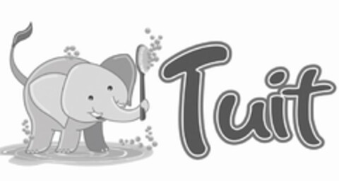 TUIT Logo (USPTO, 15.06.2016)