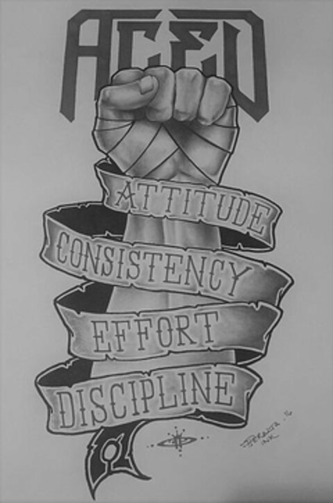 ACED ATTITUDE CONSISTENCY EFFORT DISCIPLINE PERALTA 16 INK Logo (USPTO, 20.03.2018)