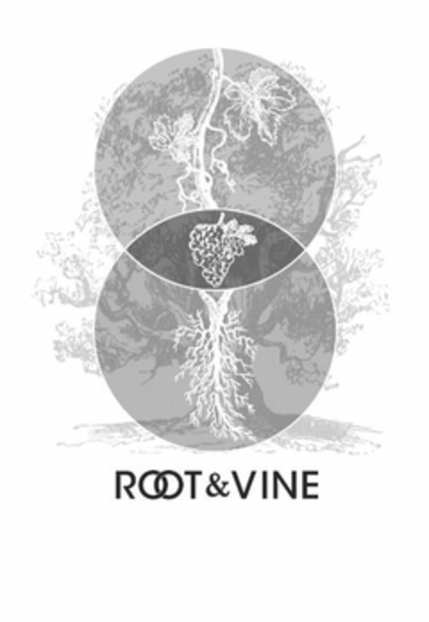 ROOT & VINE Logo (USPTO, 29.04.2016)