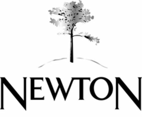 NEWTON Logo (USPTO, 01.12.2016)