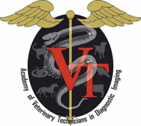 ACADEMY OF VETERINARY TECHNICIANS IN DIAGNOSTIC IMAGING VT Logo (USPTO, 01.01.2019)