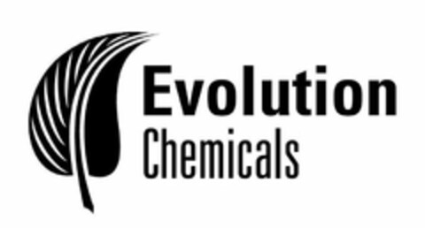 EVOLUTION CHEMICALS Logo (USPTO, 19.07.2010)