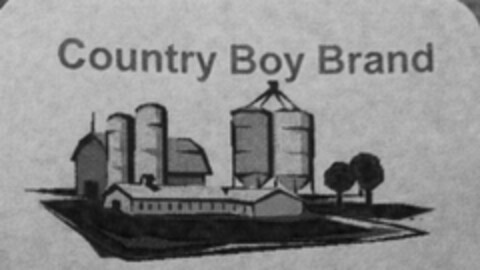 COUNTRY BOY BRAND Logo (USPTO, 09/07/2014)