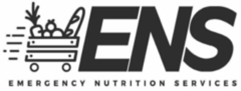 ENS EMERGENCY NUTRITION SERVICES Logo (USPTO, 31.08.2020)