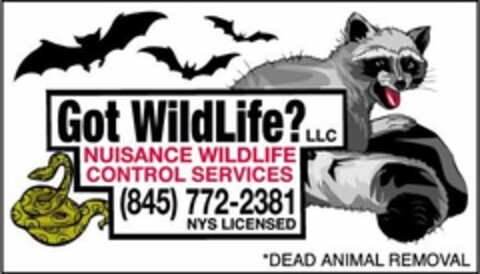 GOT WILDLIFE? LLC NUISANCE WILDLIFE CONTROL SERVICES (845)772-2381 Logo (USPTO, 11/19/2009)