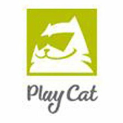 PLAY CAT Logo (USPTO, 06.07.2016)