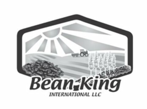 BEAN KING INTERNATIONAL LLC Logo (USPTO, 20.09.2017)