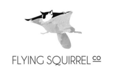 FLYING SQUIRREL CO Logo (USPTO, 07.11.2018)