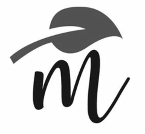 M Logo (USPTO, 05/02/2019)