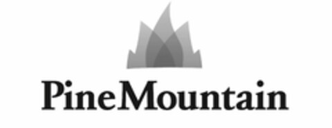 PINE MOUNTAIN Logo (USPTO, 01.05.2009)