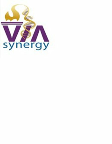 VIA SYNERGY Logo (USPTO, 28.09.2012)