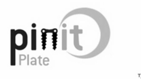 PINIT PLATE Logo (USPTO, 23.01.2013)