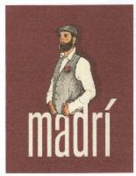 MADRI Logo (USPTO, 02/13/2017)