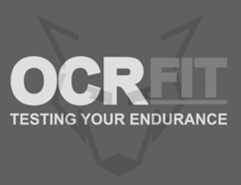 OCRFIT TESTING YOUR ENDURANCE Logo (USPTO, 30.03.2017)