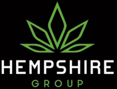 HEMPSHIRE GROUP Logo (USPTO, 12.06.2020)