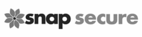 SNAP SECURE Logo (USPTO, 29.11.2011)