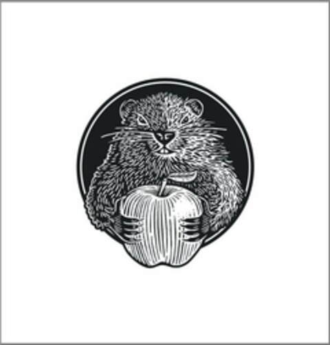  Logo (USPTO, 08.06.2016)