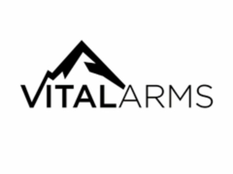 VITALARMS Logo (USPTO, 12/10/2019)