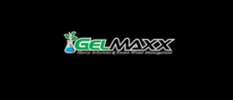 GELMAXX SLURRY SOLUTIONS & EXCESS WATER MANAGEMENT Logo (USPTO, 28.01.2013)